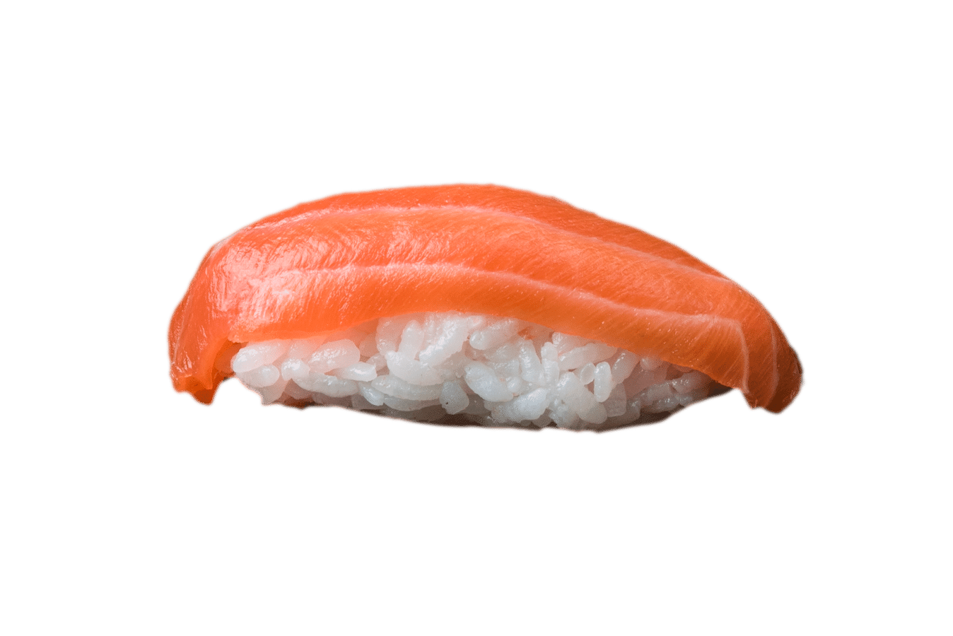 ניגירי סלמון